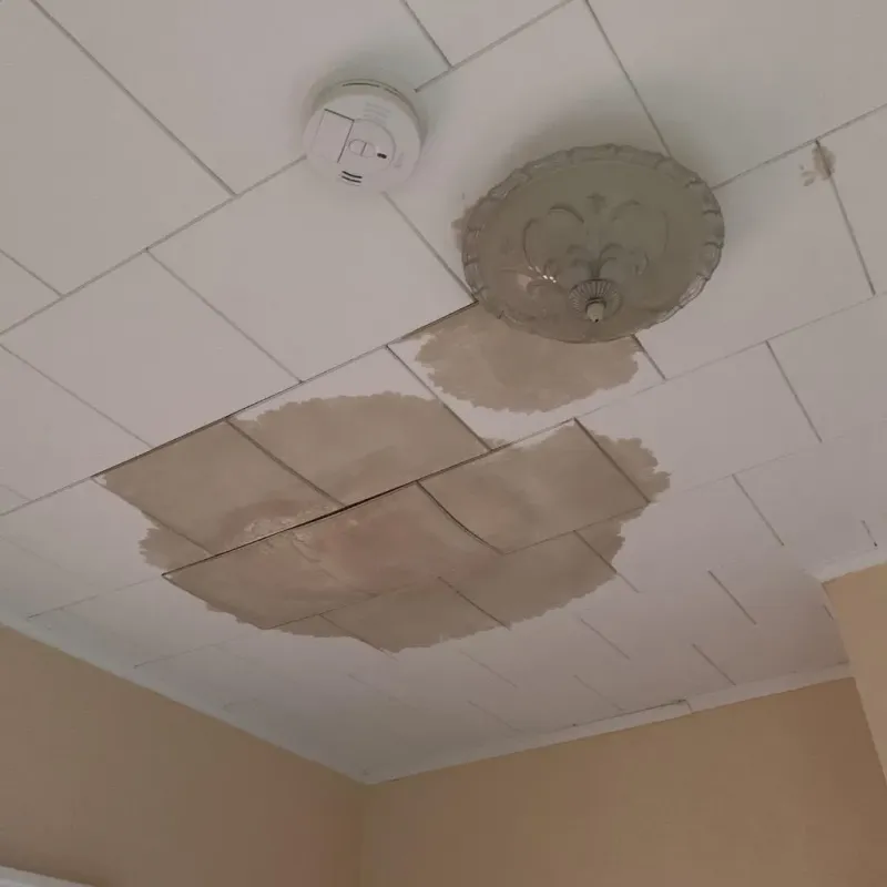 Ceiling Water Damage Repair in Amery, WI