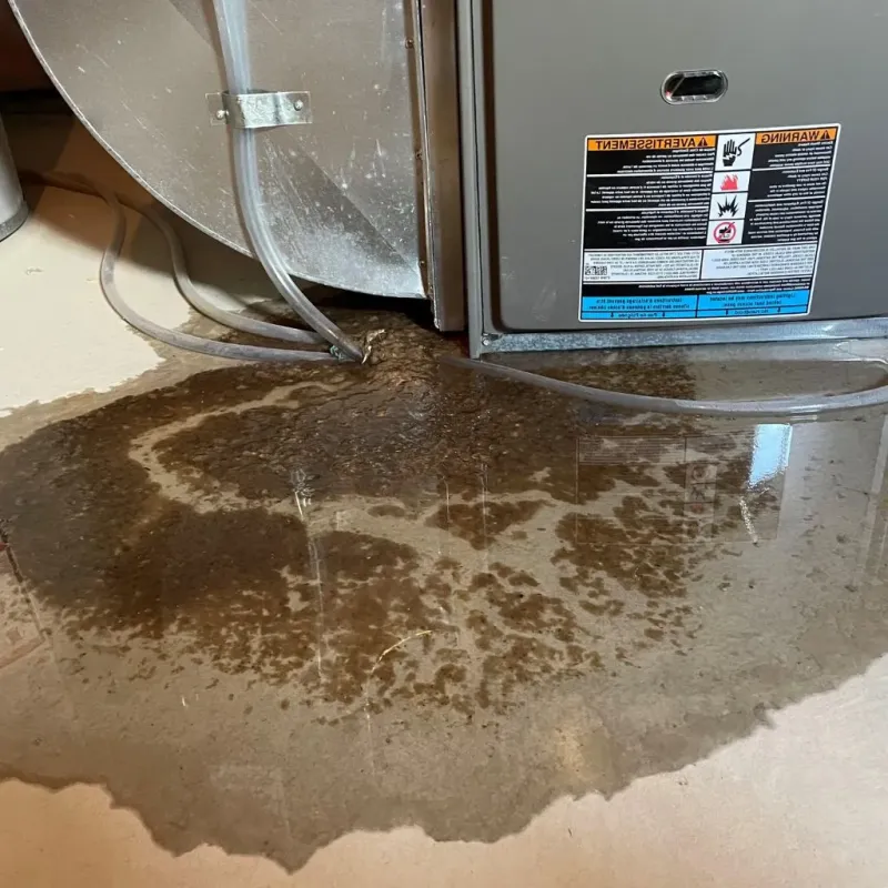 Pipe Burst and Leak Restoration in Amery, WI