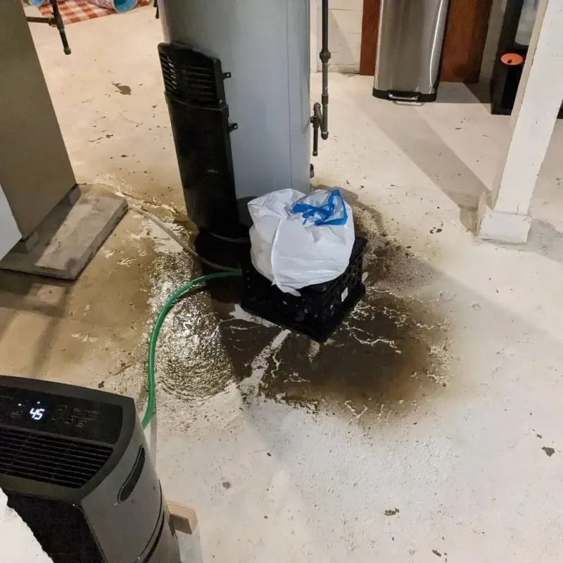 Sewage Backup Cleanup Service in Amery, WI